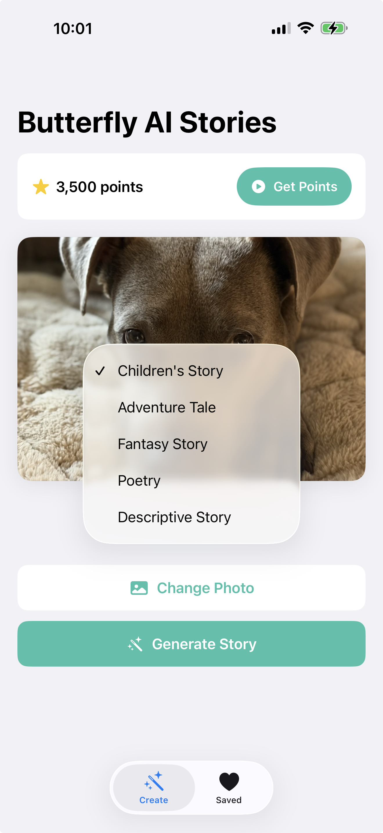 Choose your story style