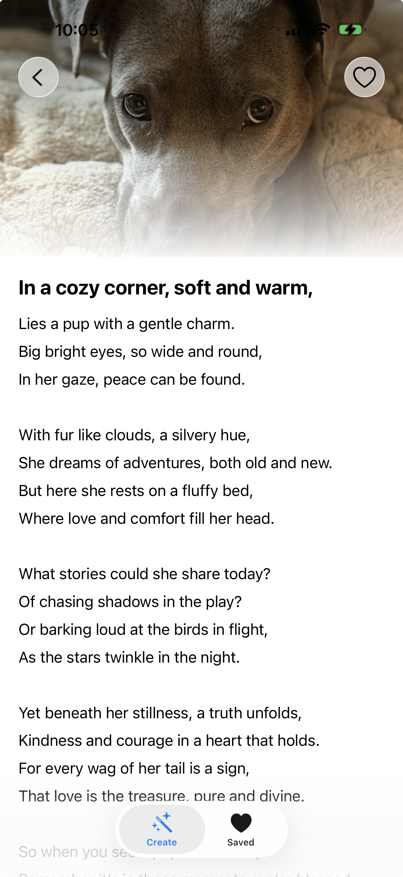 Enjoy a beautiful reading experience